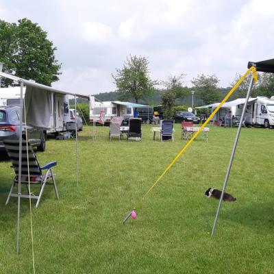 Whatsapp Image 2021 06 13 At 16.06.05 Owl Platz