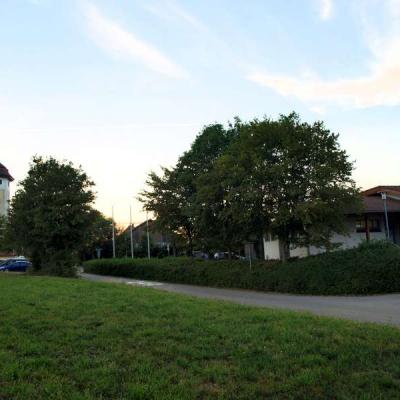 2016 09 08 11 50 Dmcg Goeggingen 50