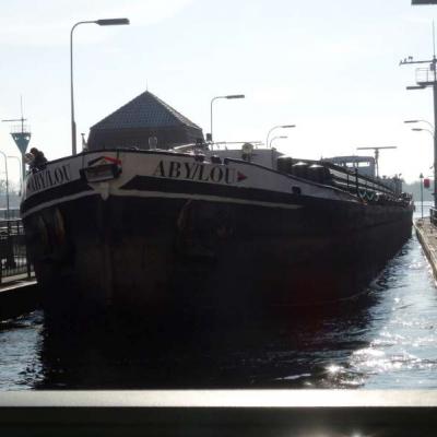 2016 11 11 13 Lva Sitzung Owl Buxot Inet 21