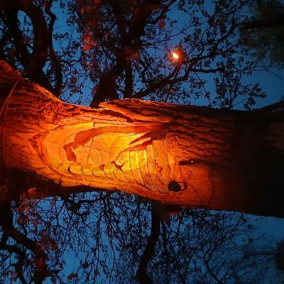 2025 11 07 10 Cbt In Billerbeck 006