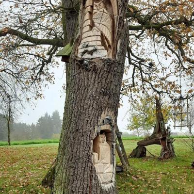 2025 11 07 10 Cbt In Billerbeck 014