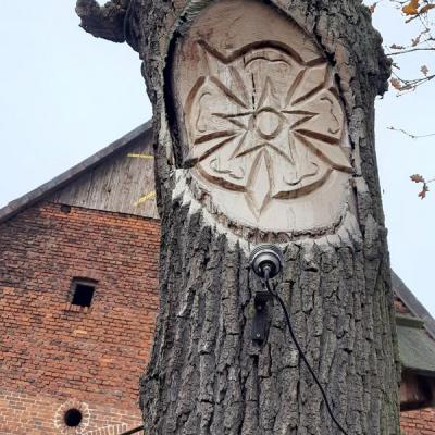 2025 11 07 10 Cbt In Billerbeck 016