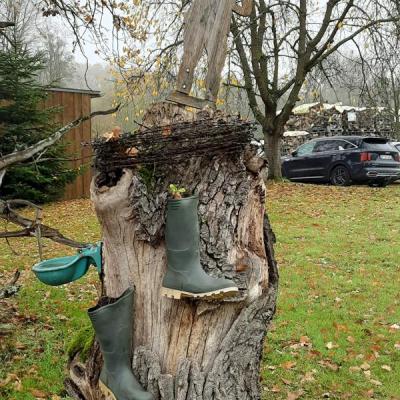 2025 11 07 10 Cbt In Billerbeck 019