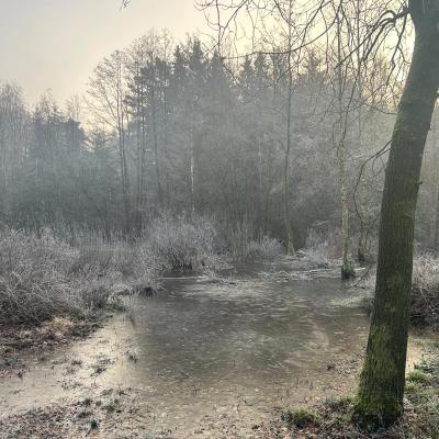 483f7eb0 4875 4fbe Af6f Cb1ad2b3f378