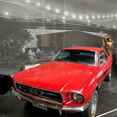 Whatsapp Image 2026 02 22 At 16.21.03. 12